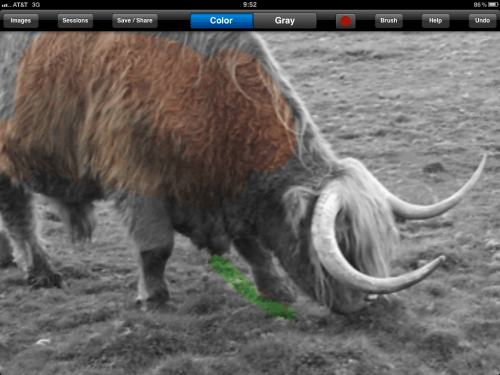 A stray finger stroke brushed grass surrounding Hamish.