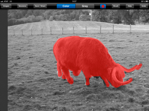 "Red Dot" button tool shows colourised areas in a red shade.