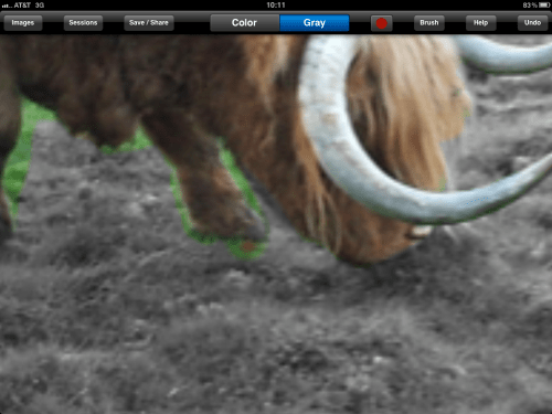 Small brush sizes are needed for some detail work.