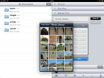 Select photos in Manage Files.