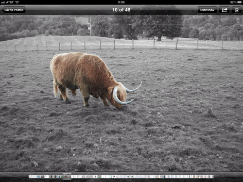 I return to the image previously selected.