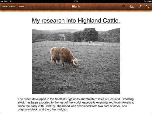 Document with pasted image and text.