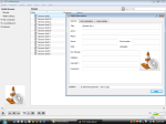 Media Information in VLC Windows application.