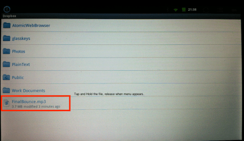 Tap and hold on file to you wish to download.