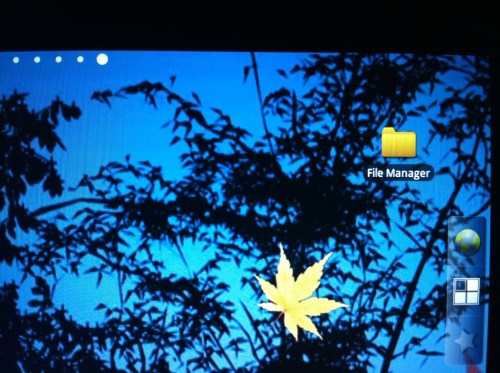 File Manager application.