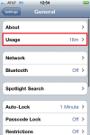 Settings - General - Usage. (iPhone)