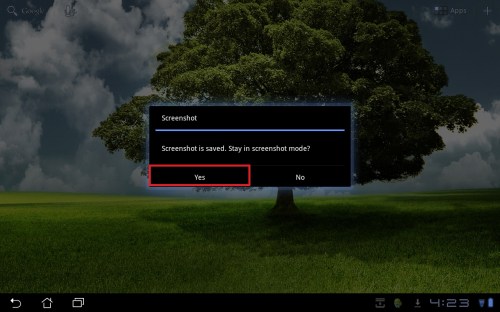 Tap the Yes button to stay in screenshot mode.